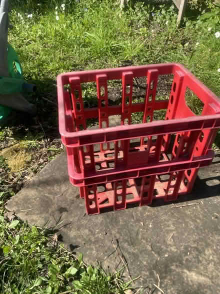 Photo of free plant pots and crates (Freshford BA2) #2