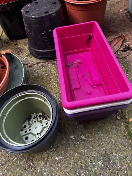 Photo of free Plastic plant pots - variety sizes (HA8 / Edgware) #3