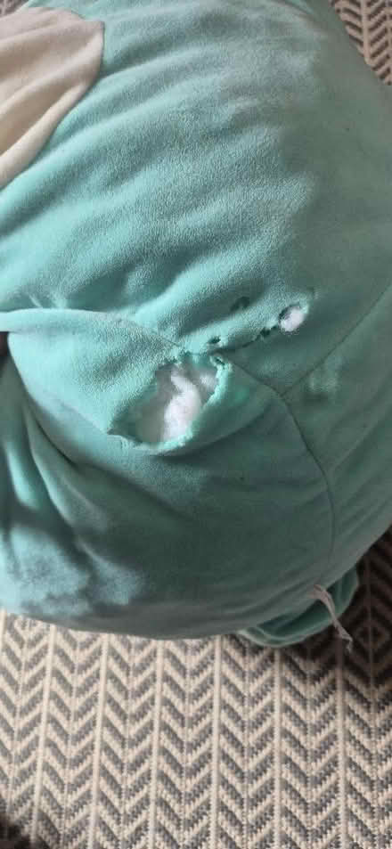 Photo of free Large Dinosaur Squishmallow Soft Toy (Fordwich CT1) #4