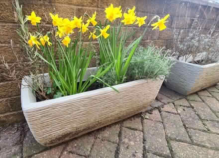 Photo of free 2 Plastic troughs (Baxenden BB5) #3