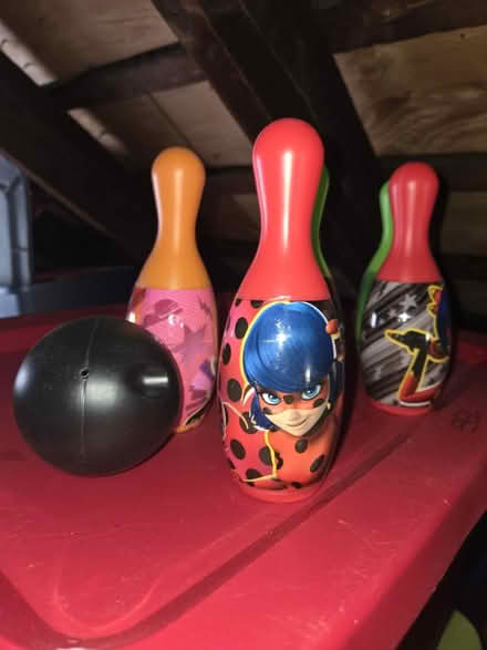 Photo of free Bowling ball set (Flemington) #1