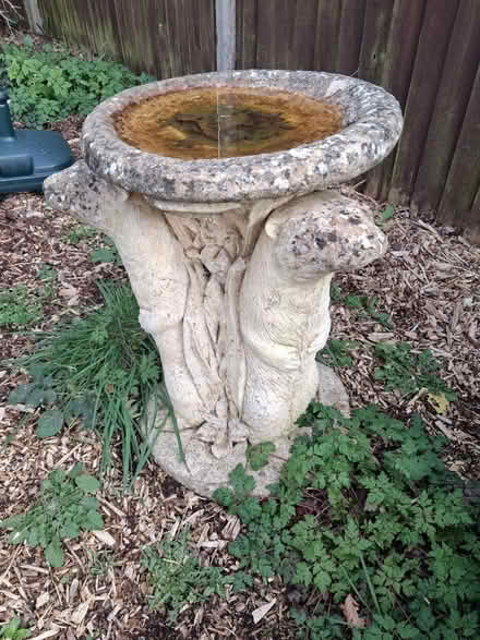 Photo of free Otter bird bath (New addington) #2