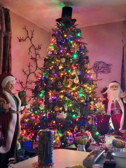 Photo of free 8ft tree (Gibsonville nc) #1