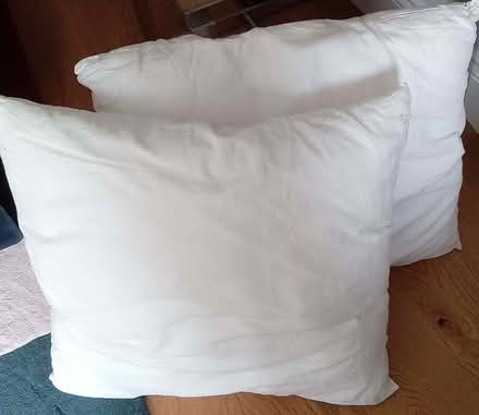 Photo of free Cushion Pads (Tivoli GL51) #1