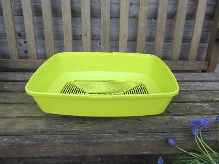 Photo of free Plastic Sieve (Dublin 12) #2