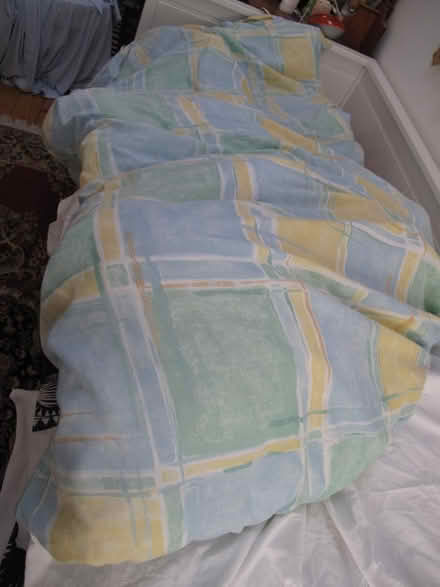 Photo of free pet bedding (Girton, Cambridgeshire) #1