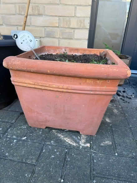 Photo of free Terracotta pots (Carshalton) #1
