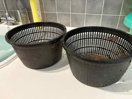 Photo of free Pond plant baskets (Lyncombe) #1