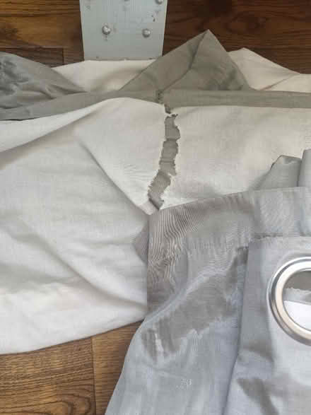 Photo of free Silver grey eyelet curtains (Aldershot GU12) #2