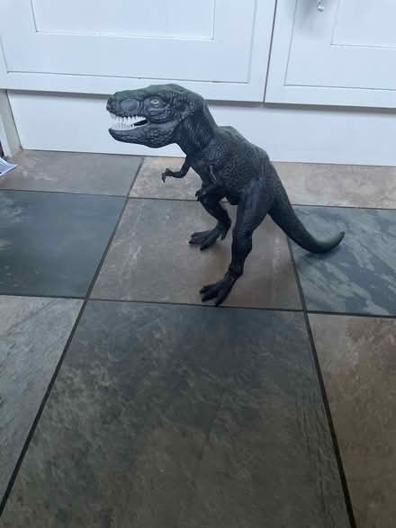 Photo of free Trex model (Northlands Wood) #2