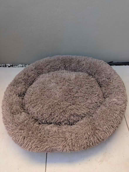 Photo of free Dog doughnut bed (Grove Park SE9) #1