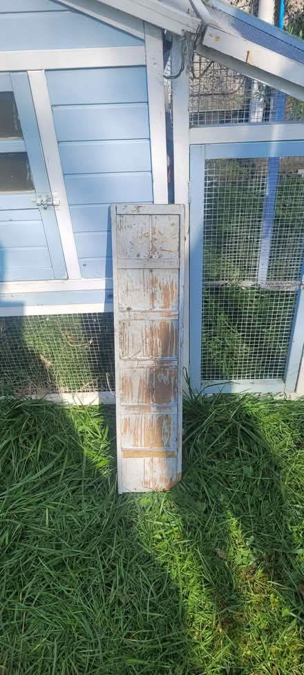 Photo of free Chickens, Rabbits, Guinea Pigs, Outside House/Run (BD4) #1