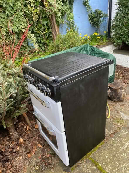 Photo of free electric freestanding cooker with gas hob (Craigie DD4) #2