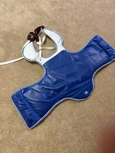 Photo of free 1 karate body pad (Glen Burnie) #2