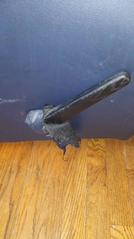 Photo of free Large Recliner (Flanders NJ) #4