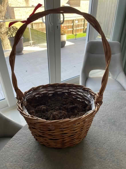 Photo of free Wicker plant basket (University of Wolverhampton, Compton Park Campus WV3) #1
