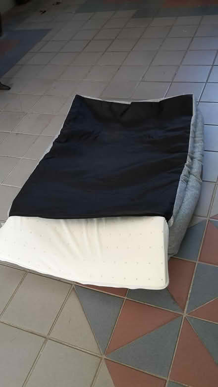 Photo of free Pet Lounger "Popocola" Brand (Queenstown, near MRT) #3