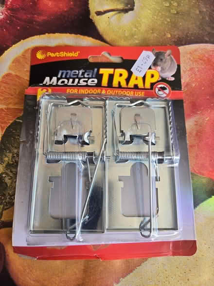 Photo of free Two mousetraps (BS5) #1