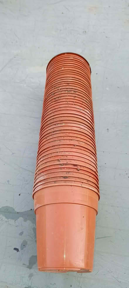 Photo of free Plastic Plant Pots (Thornhill CF14) #1