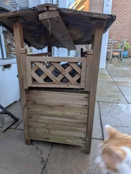 Photo of free Outdoor cat house (Cranham Gate GL3) #2