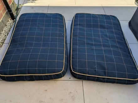 Photo of free 2 x large dog beds (Grove Park SE9) #1