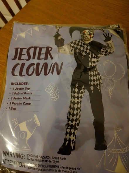 Photo of free Child costume (Denholme BD13) #1