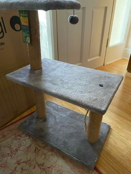 Photo of free Cat tree (Didsbury M20) #1