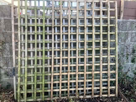 Photo of free Garden trellising (Rathfarnham) #2