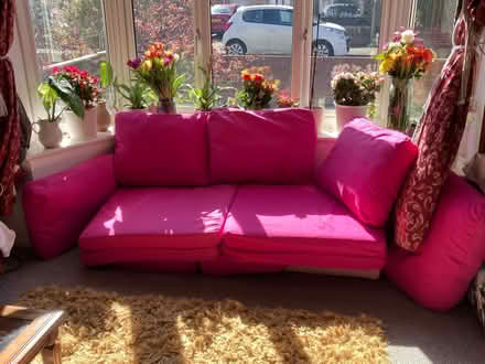 Photo of free Pick cushions (Kidlington OX5) #1