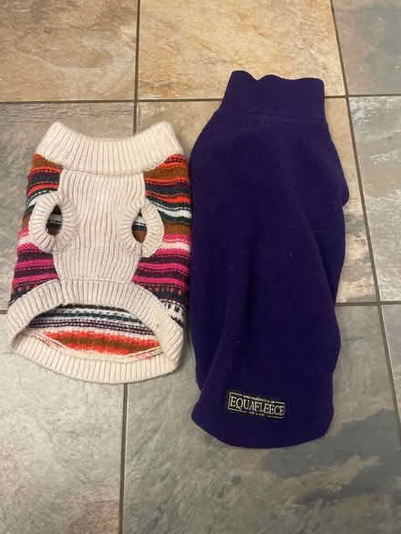 Photo of free Dog jumpers (Northlands Wood) #1