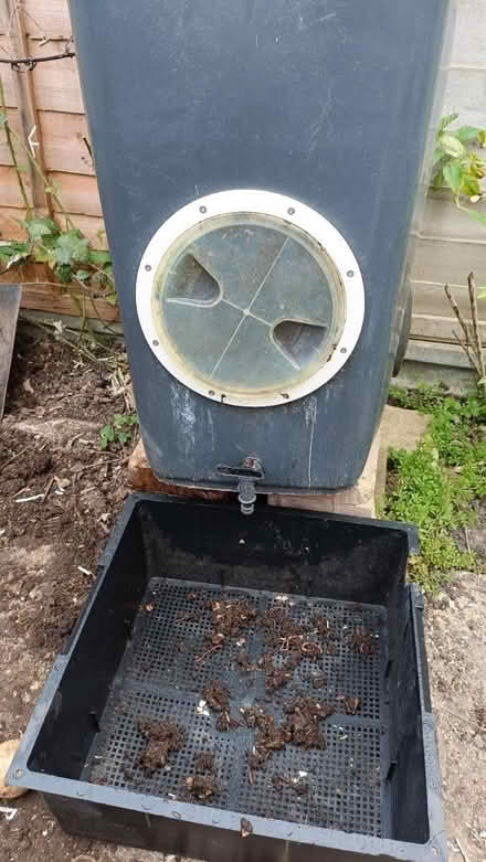Photo of free Large wheelie bin wormery (Shirley CR0) #2