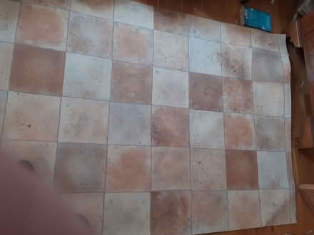Photo of free Vinyl floorcovering (Bowbridge GL5) #2