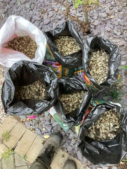 Photo of free Grey stone chippings (CT5) #1