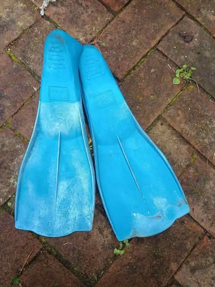 Photo of free Children's flippers size 1 -2 (Lewes (near Prison)) #2