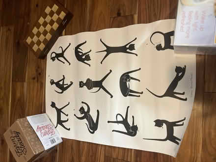 Photo of free cat yoga poster (Red Hook) #1