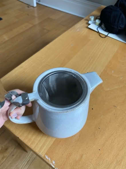 Photo of free tea infuser (SW193TA) #3