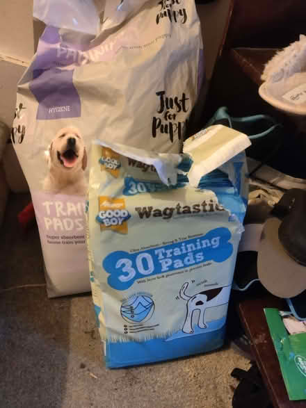 Photo of free Puppy training pads (Reddingmuirhead FK2) #1