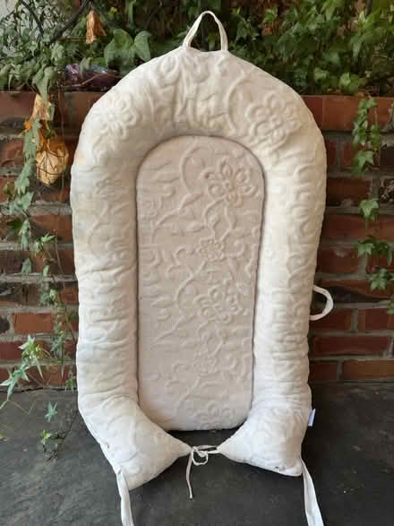 Photo of free Baby nap cushion (San Jose near Union/Curtner) #1