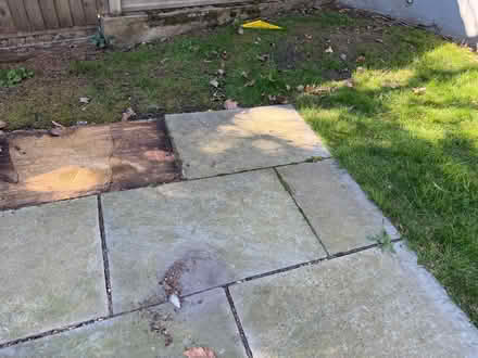 Photo of free Used Patio slabs (Elmstead BR7) #1