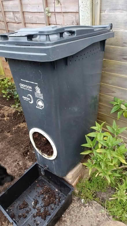 Photo of free Large wheelie bin wormery (Shirley CR0) #4