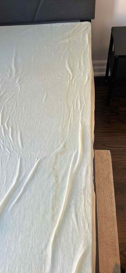 Photo of free Firm foam mattresses - double (Bathurst and College) #3