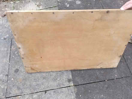 Photo of free For Potting (Ecclesall, S11) #2