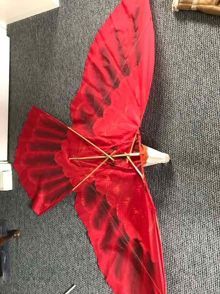 Photo of free Fantastic Bird of Prey Kite (Brotton TS12) #3