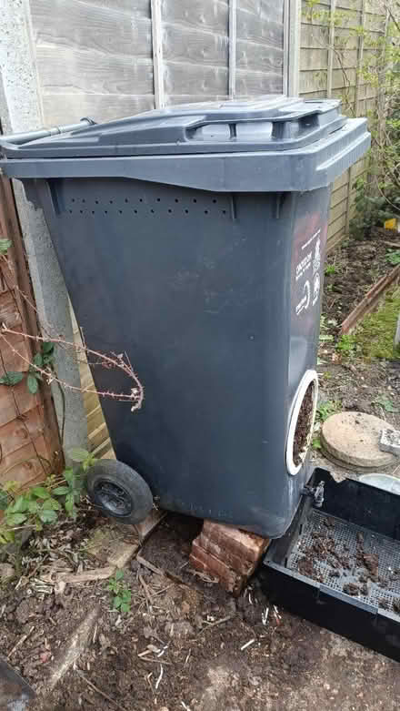 Photo of free Large wheelie bin wormery (Shirley CR0) #3