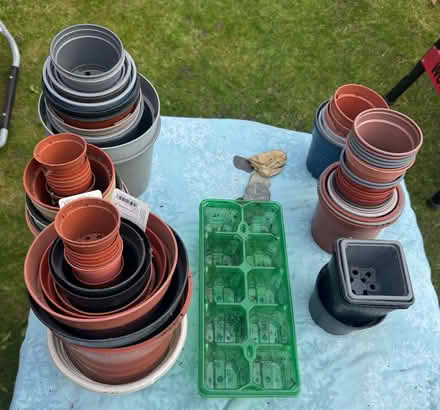 Photo of free Plastic Plant Pots (St Helier SM5) #1
