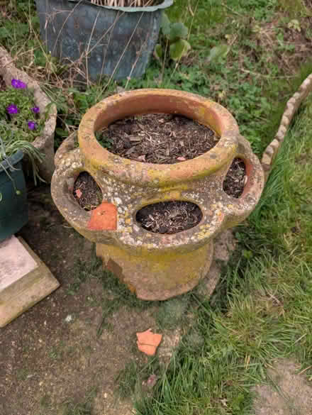 Photo of free Strawberry planters x2 (Winslow MK18) #2