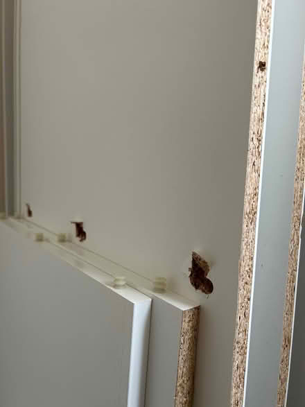 Photo of free Particle boards from Ikea wardrobe (KT70TQ) #4