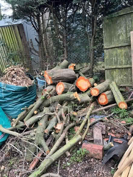 Photo of free Logs and or wood chippings (Chaddesden DE21) #1