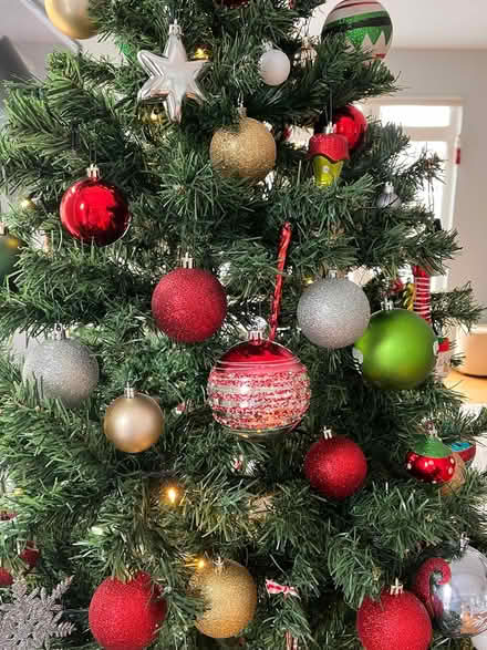 Photo of free Christmas tree (Fort Sheridan) #3