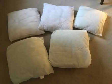 Photo of free Cushion inserts (Millhouses S7) #1